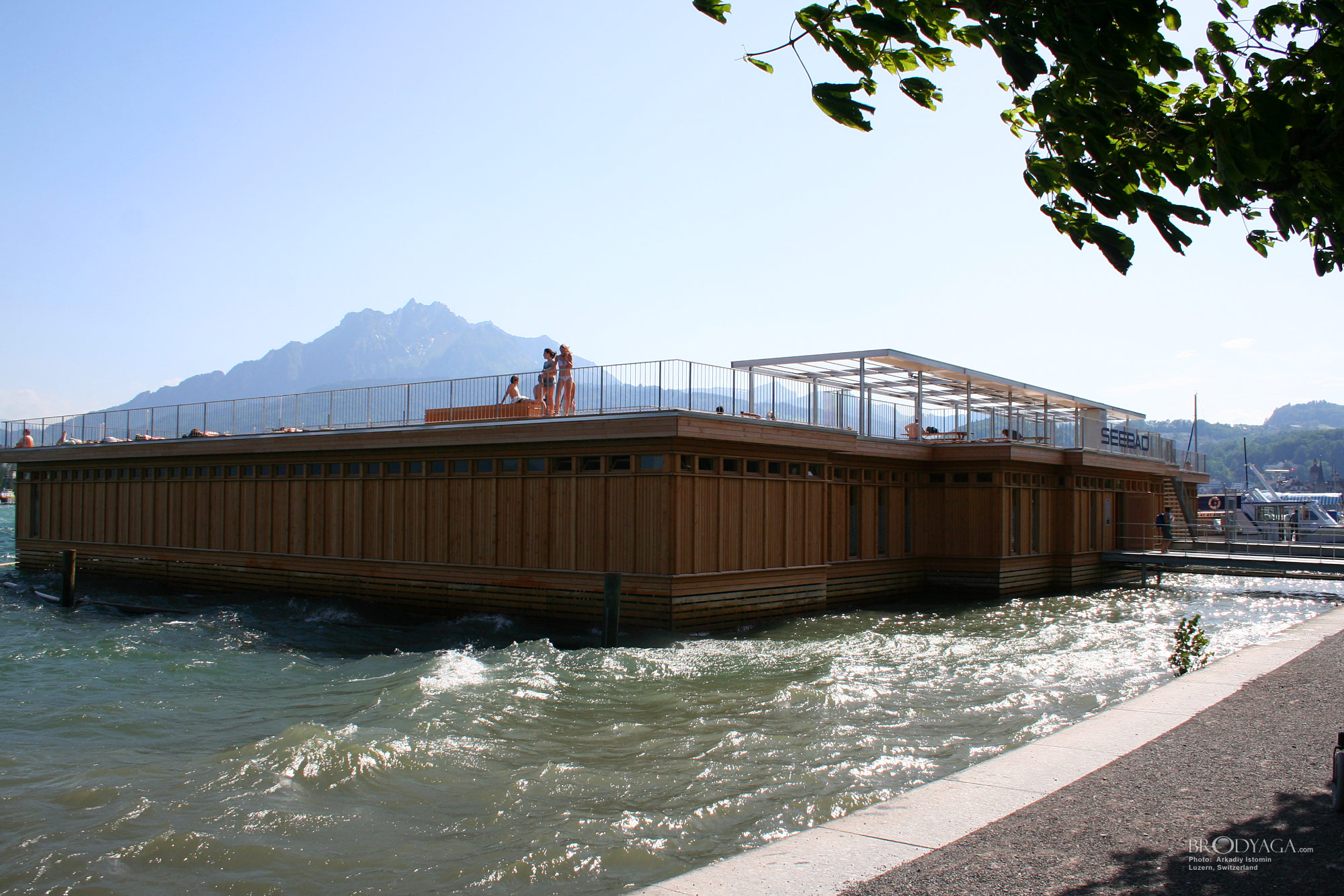 Lucerne